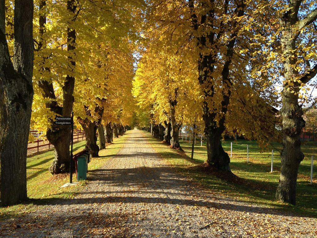 Runnvikens Pensionat Tystberga Exterior foto